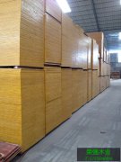 广西专业生产建筑模板厂家，最新建筑模板价格